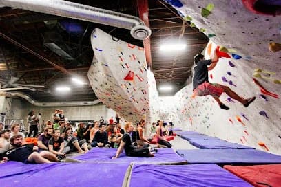 The Studio Climbing