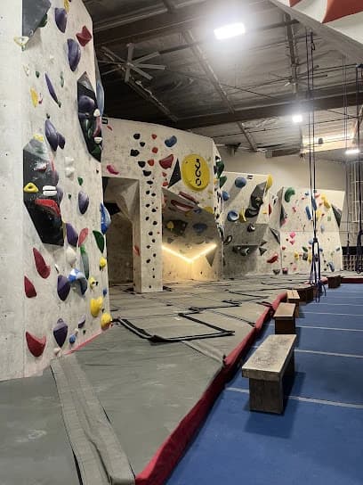 Aesthetic Climbing Gym