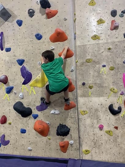 Cayuga Climbs