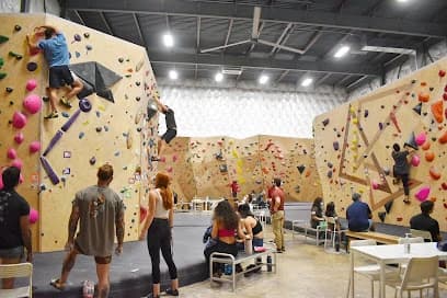 Armadillo Boulders - Downtown SA