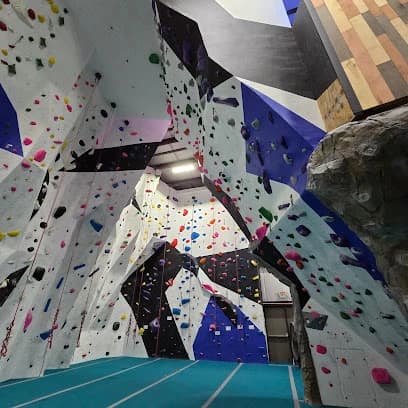 Reading Rocks Climbing and Fitness