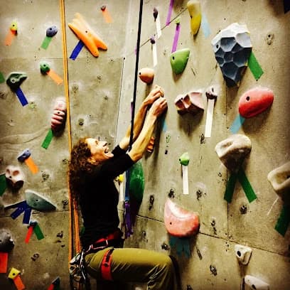 Stone Age Rock Gym
