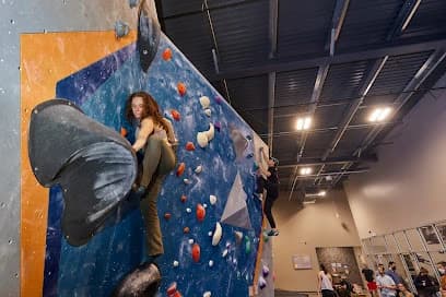Central Rock Gym - Rochester