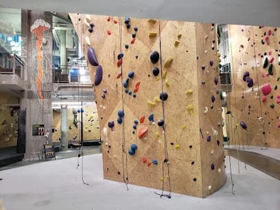 Brooklyn Boulders Queensbridge