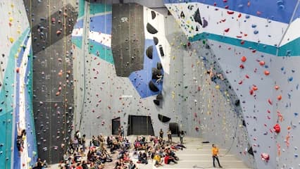 Sportrock Climbing Centers - Alexandria