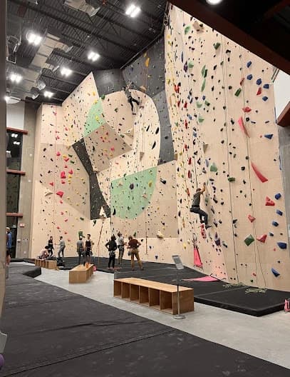 ELEV8 Climbing and Fitness