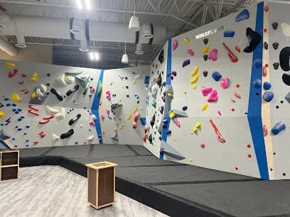 Central Rock Gym - Citrus Park
