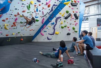 Gravity Vault Marin