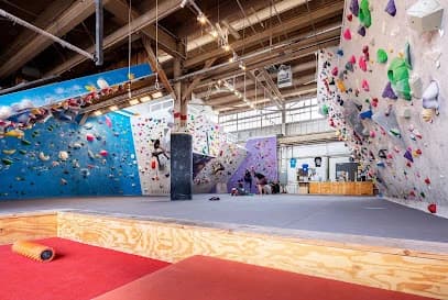 Minnesota Climbing Cooperative