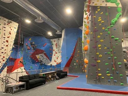 The Gravity Vault - Flemington
