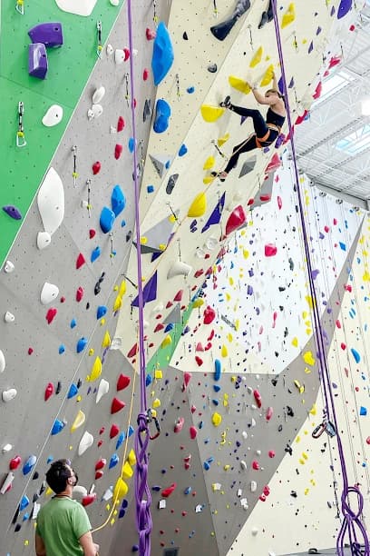 Movement Climbing